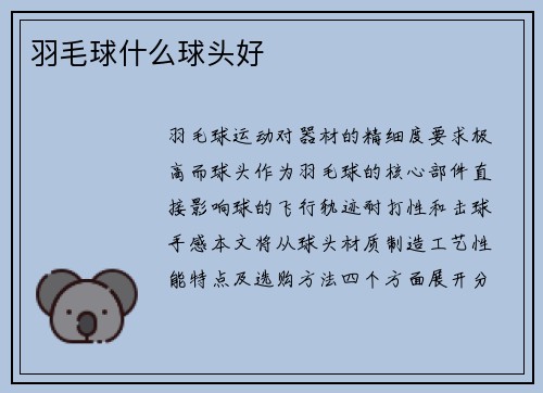 羽毛球什么球头好